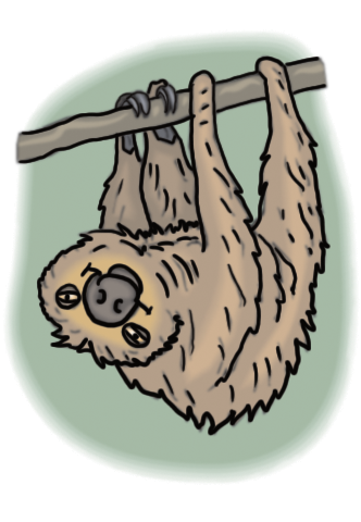 Sloth - From Animals, Friends & People